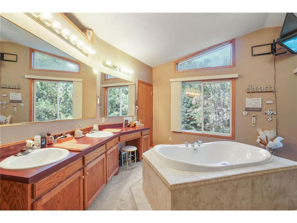 310 D Scholten Drive Steen MN 56173 7025447 image43