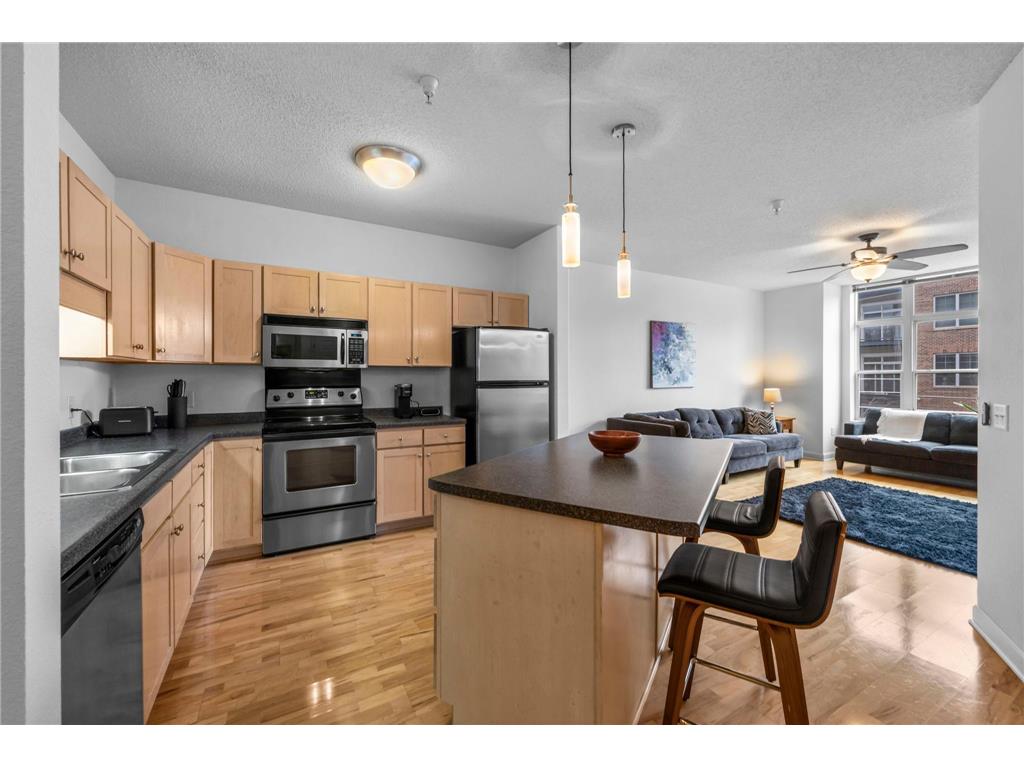 310 E 18th Street #201 Minneapolis MN 55404 7030007 image1