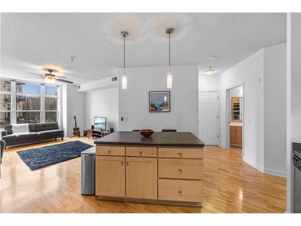 310 E 18th Street #201 Minneapolis MN 55404 7030007 image12