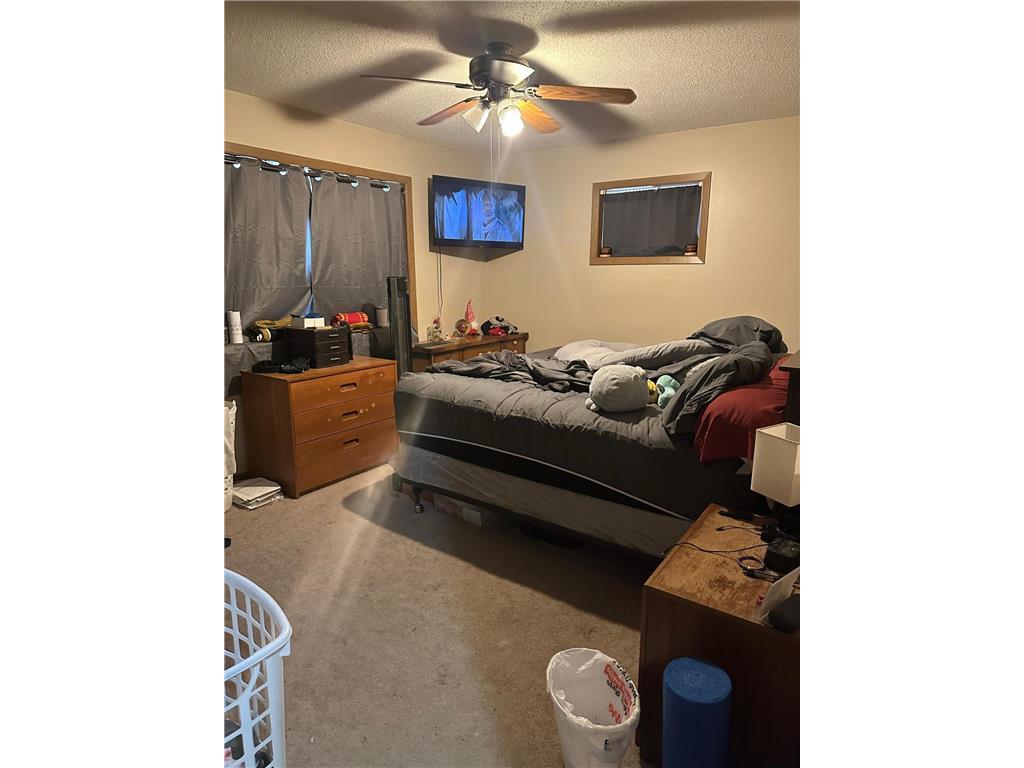 310 E 2nd Street Albert Lea MN 56007 7043956 image5