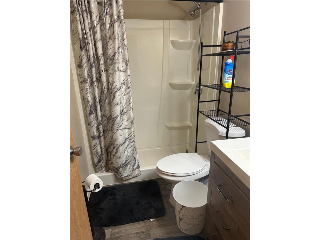 310 E 2nd Street Albert Lea MN 56007 7043956 image9