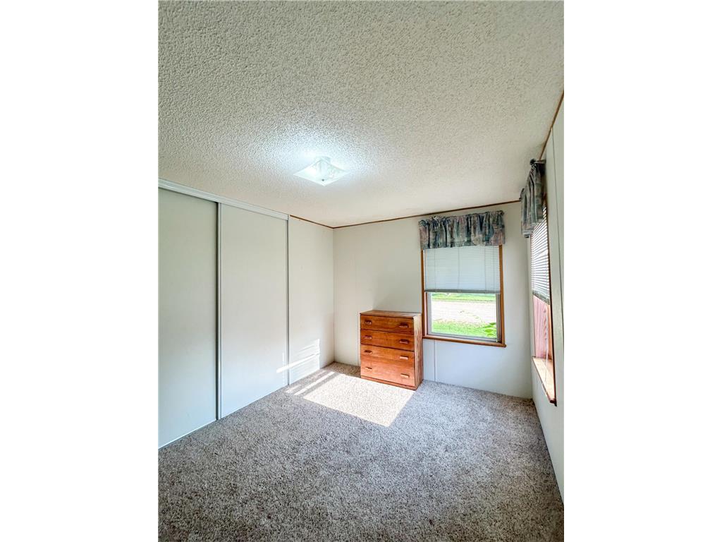 310 E Scott Street Jeffers MN 56145 6823657 image11