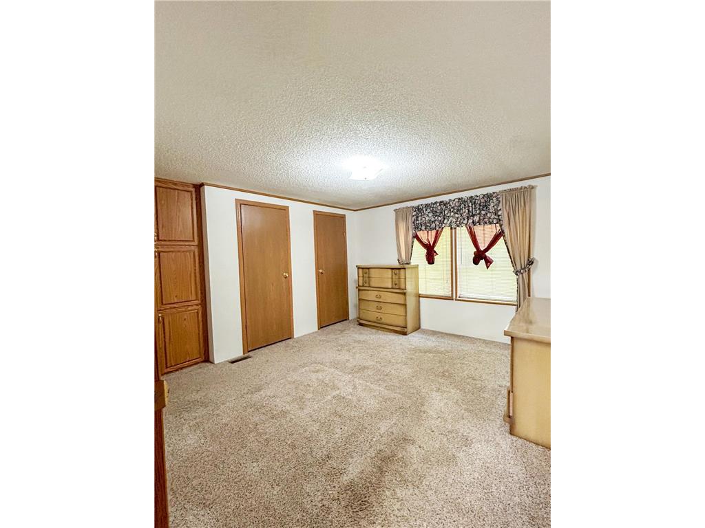 310 E Scott Street Jeffers MN 56145 6823657 image12