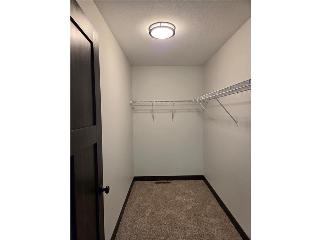 310 Gloria Avenue Green Isle MN 55338 7111055 image23