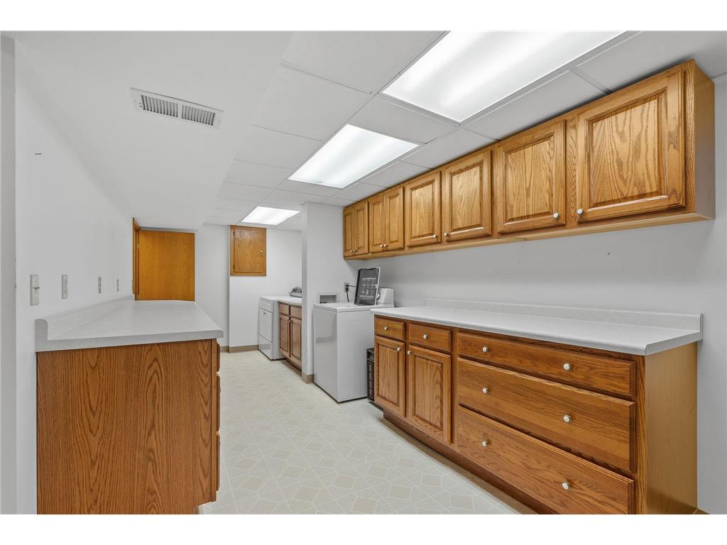 310 Lanewood Lane N Plymouth MN 55447 7075980 image31