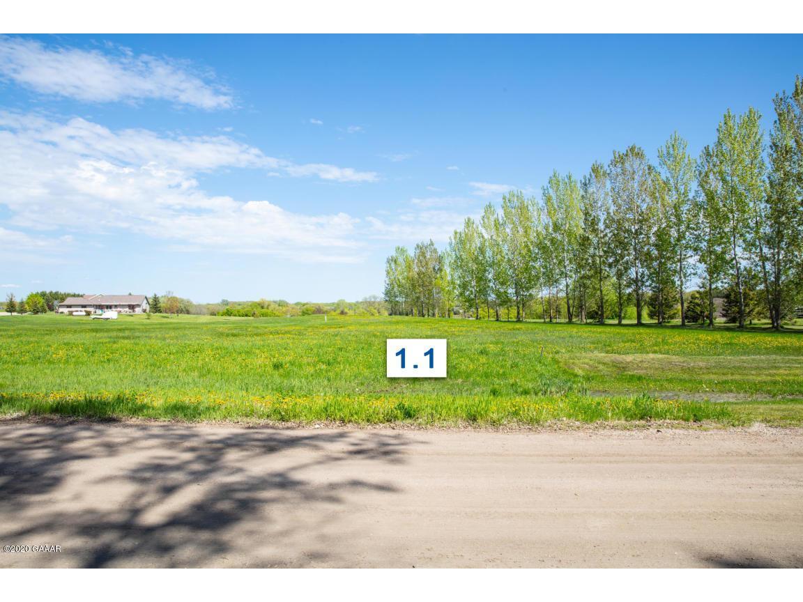310 Lot1.1 Mallard Lane Brandon MN 56315 5520147 image1