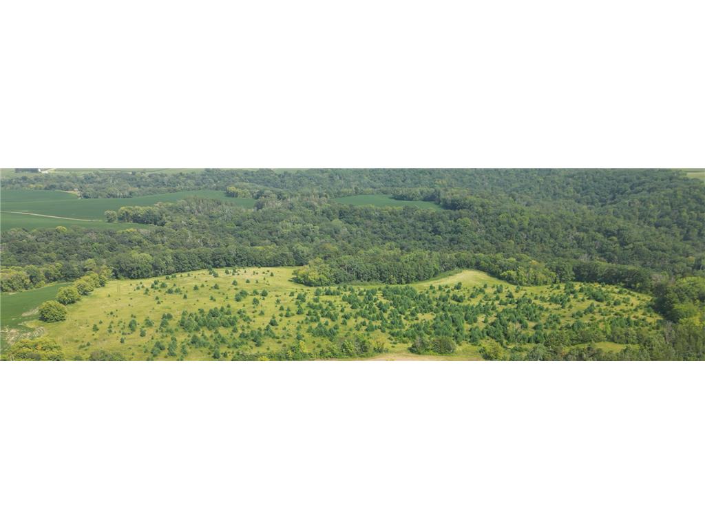 31004 Grouse Road Pilot Mound Twp MN 55949 6591195 image1
