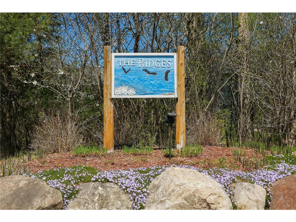31023 Magnolia Ridge Way Lindstrom MN 55045 7063882 image35