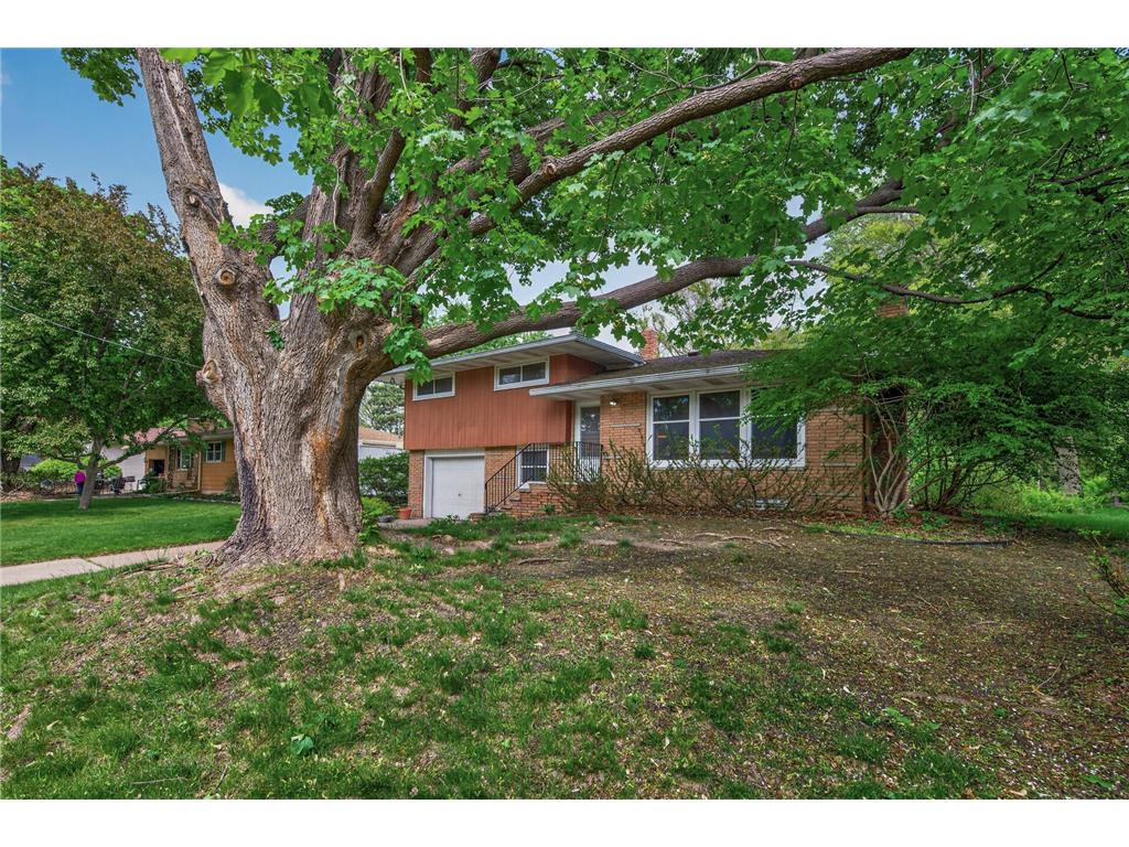 3104 Mildred Drive Roseville MN 55113 7074811 image2