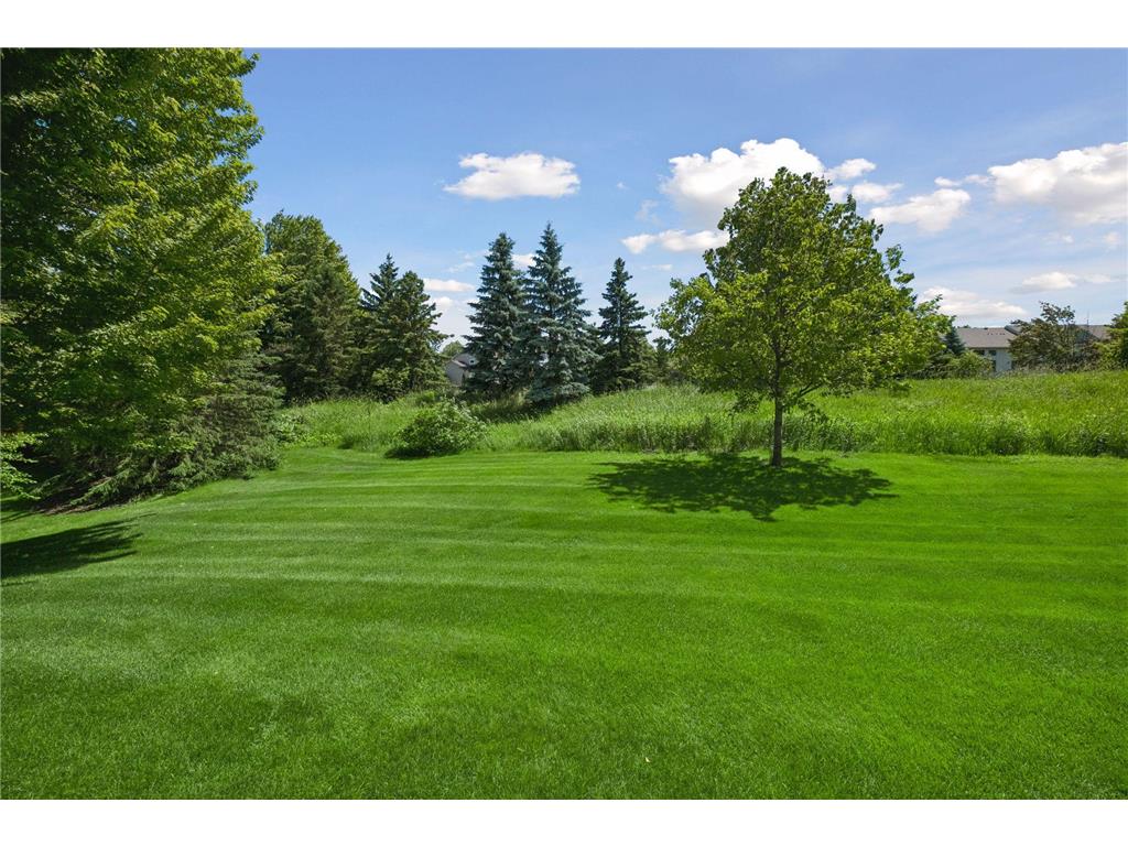 3105 Countryside Bay #A Woodbury MN 55129 7089475 image35