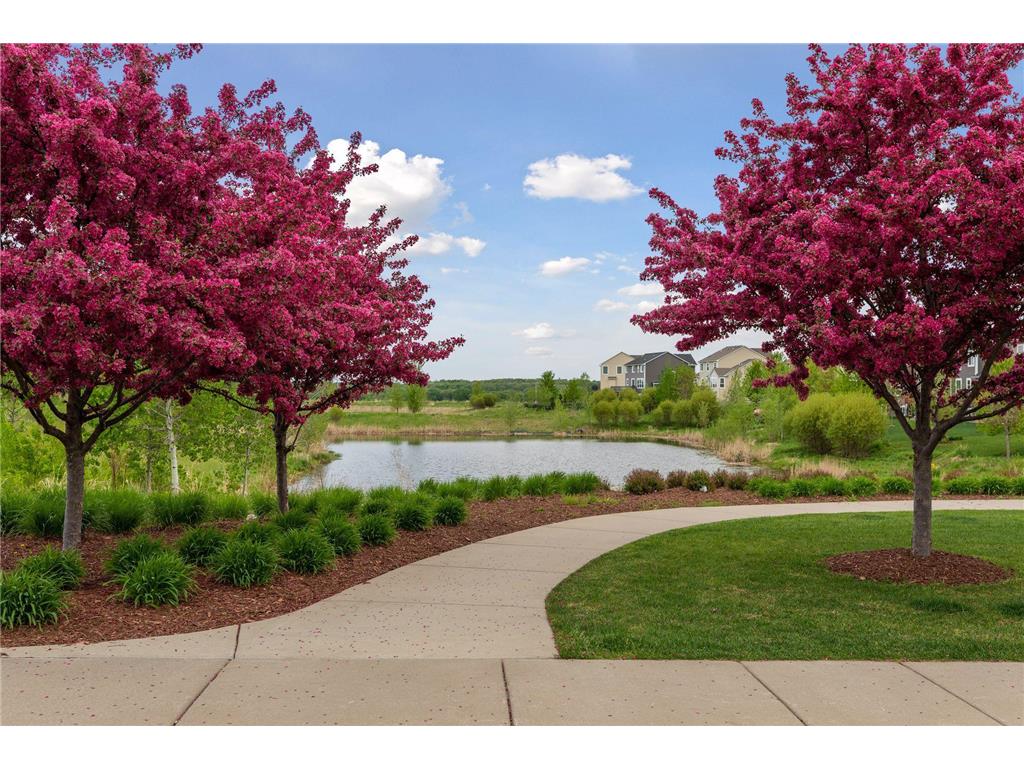 3105 Countryside Bay #A Woodbury MN 55129 7089475 image94