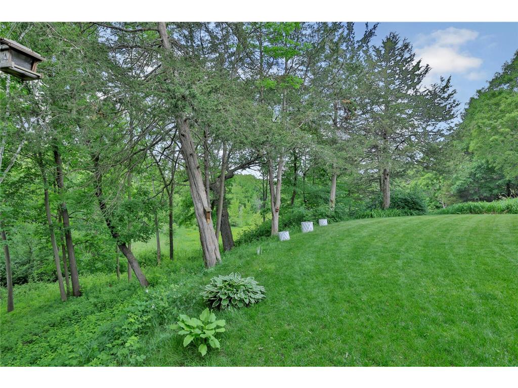 31066 Cedar Ridge Drive Lindstrom MN 55045 - North Center Lake 7091148 image9