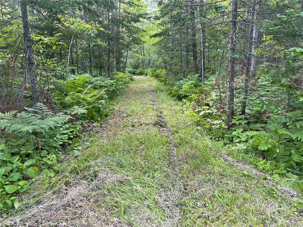 31069 Duluth Missabe And Iron Greenway Twp MN 55775 7076514 image10