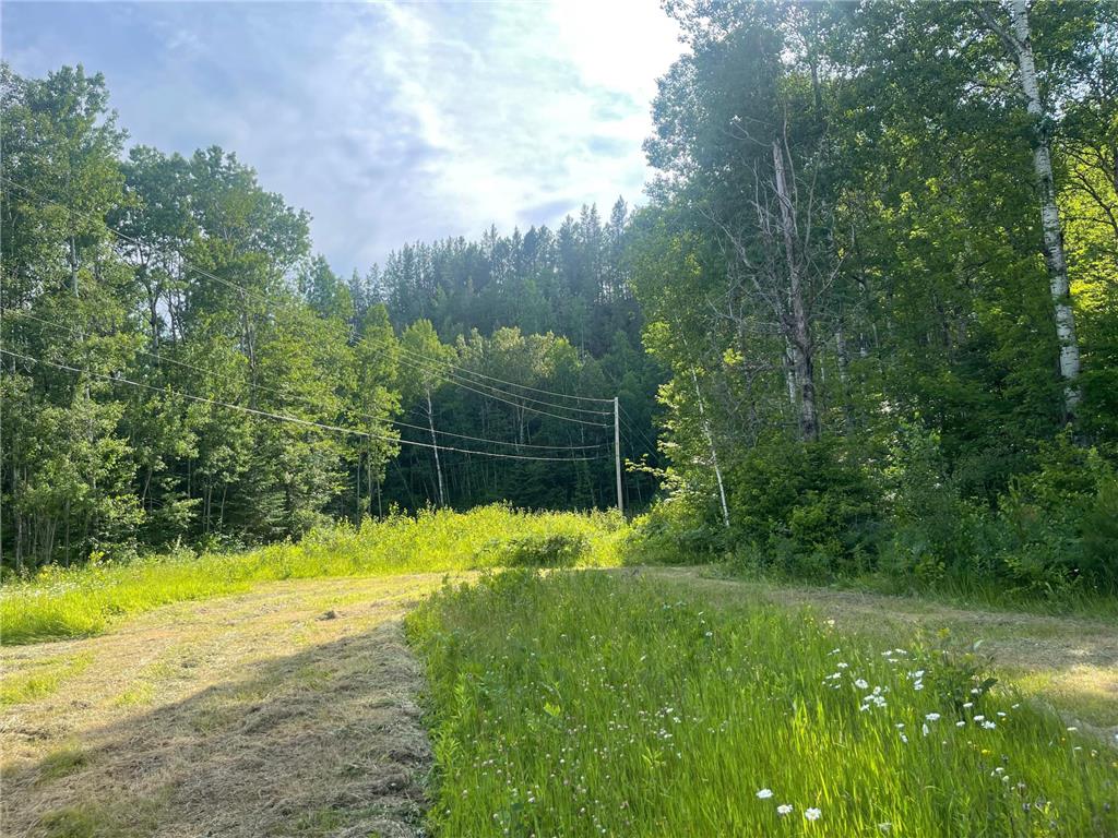 31069 Duluth Missabe And Iron Greenway Twp MN 55775 7076514 image12