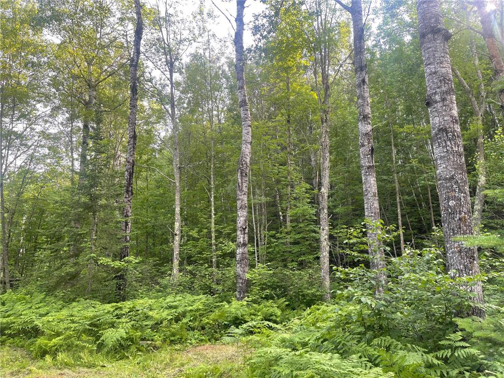 31069 Duluth Missabe And Iron Greenway Twp MN 55775 7076514 image14