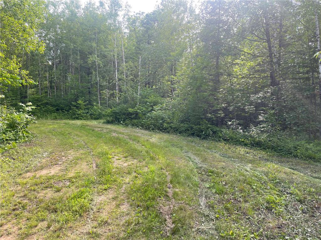 31069 Duluth Missabe And Iron Greenway Twp MN 55775 7076514 image5