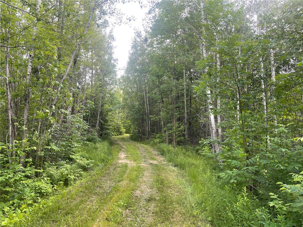 31069 Duluth Missabe And Iron Greenway Twp MN 55775 7076514 image6