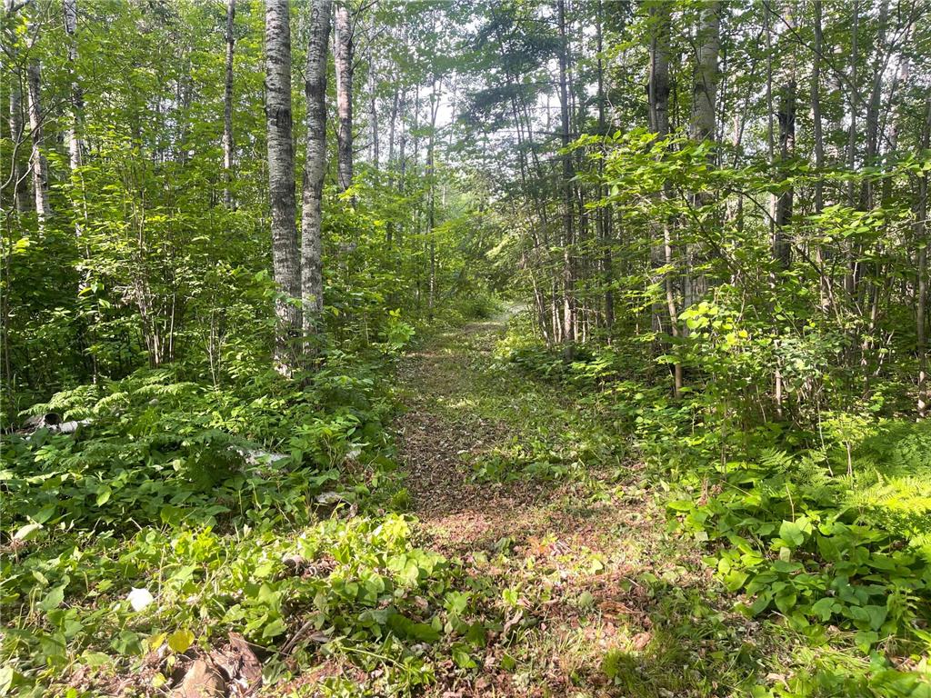 31069 Duluth Missabe And Iron Greenway Twp MN 55775 7076514 image8