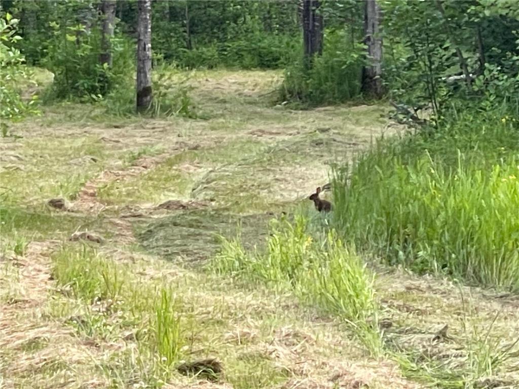 31069 Duluth Missabe And Iron Greenway Twp MN 55775 7076514 image9