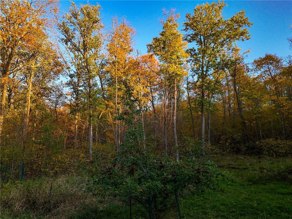 3108 Blackbird Road NE Cass Lake MN 56633 6798500 image2