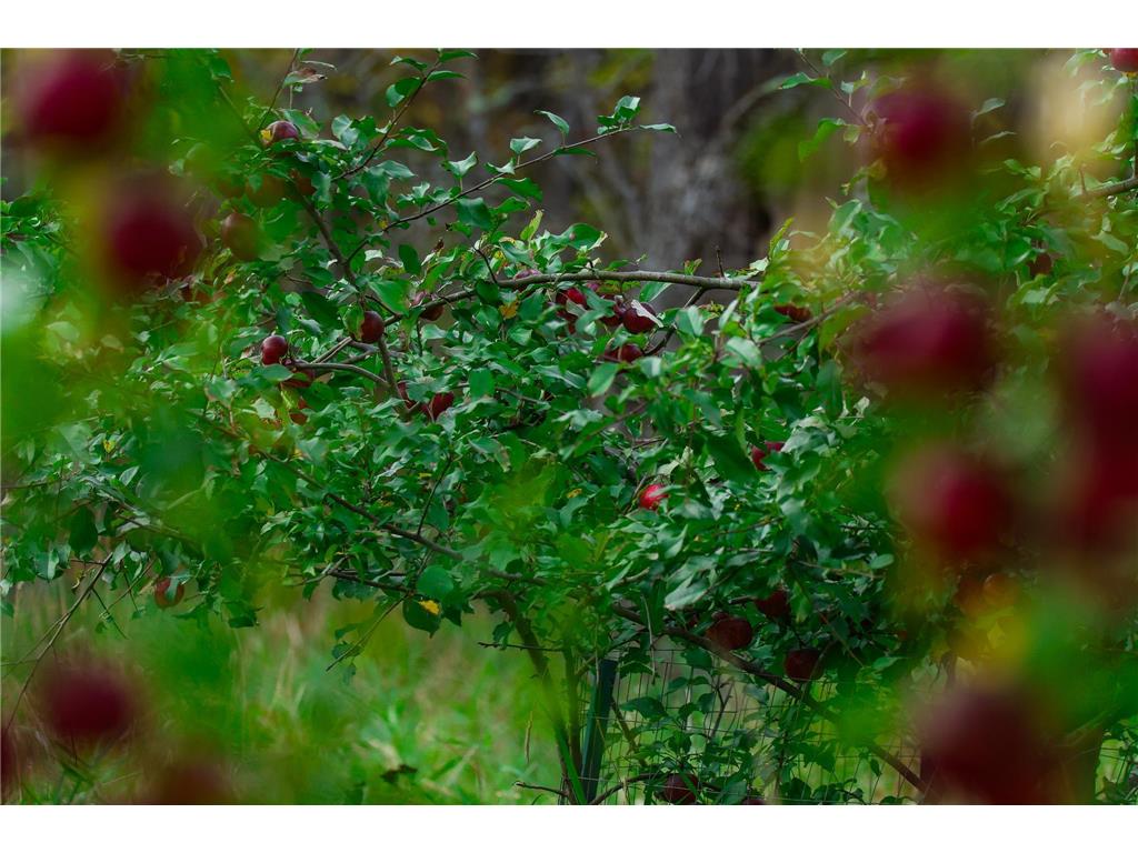 3108 Blackbird Road NE Cass Lake MN 56633 6798500 image24