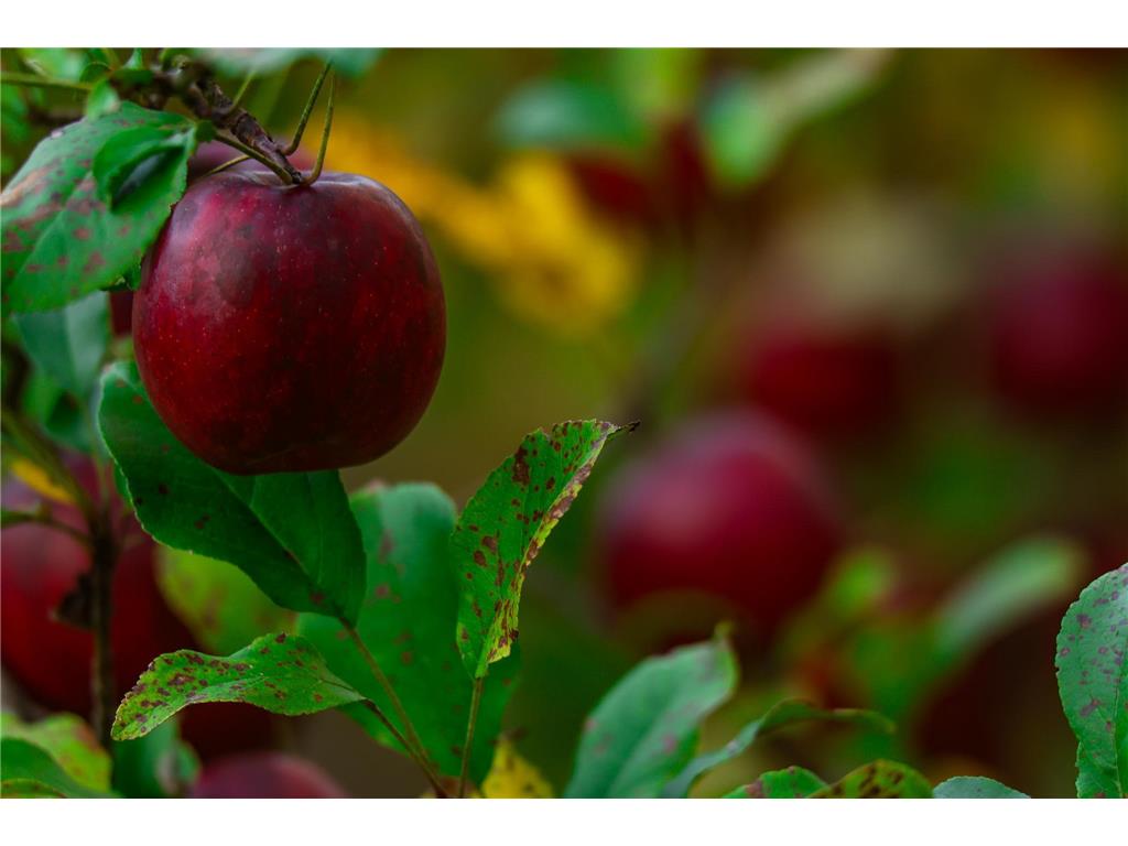 3108 Blackbird Road NE Cass Lake MN 56633 6798500 image26