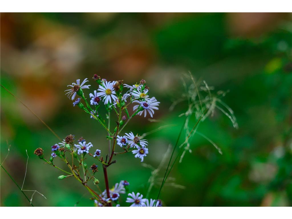 3108 Blackbird Road NE Cass Lake MN 56633 6798500 image28