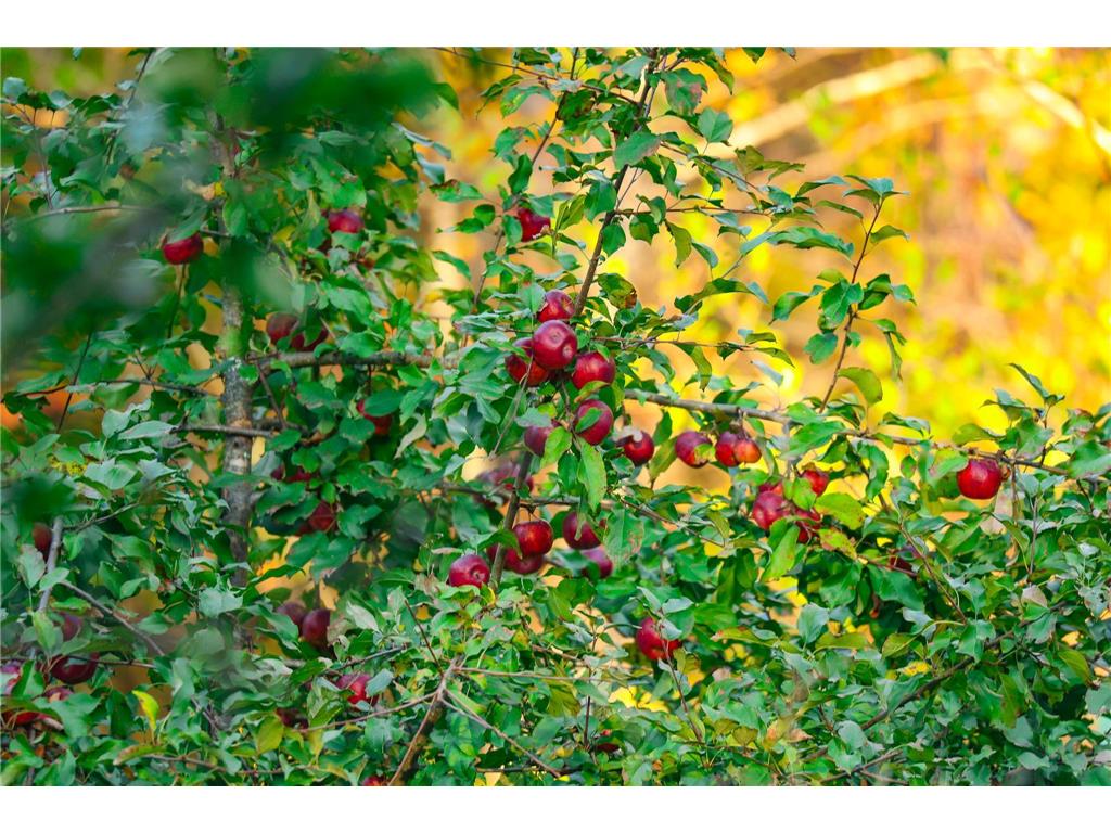 3108 Blackbird Road NE Cass Lake MN 56633 6798500 image29