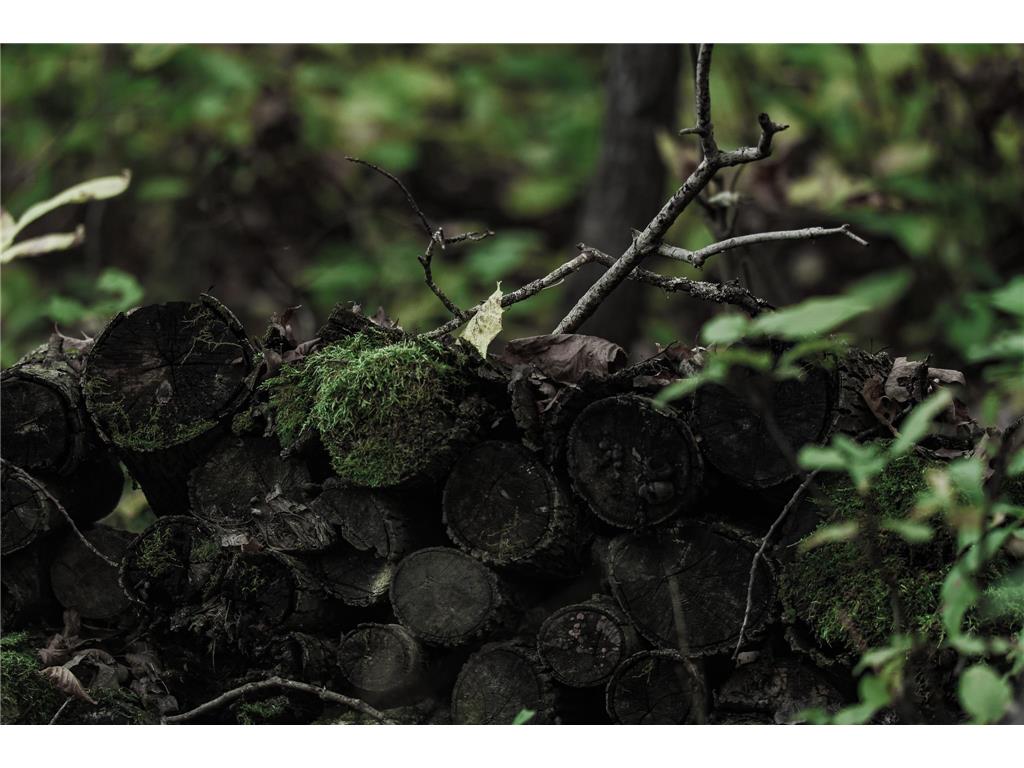 3108 Blackbird Road NE Cass Lake MN 56633 6798500 image30