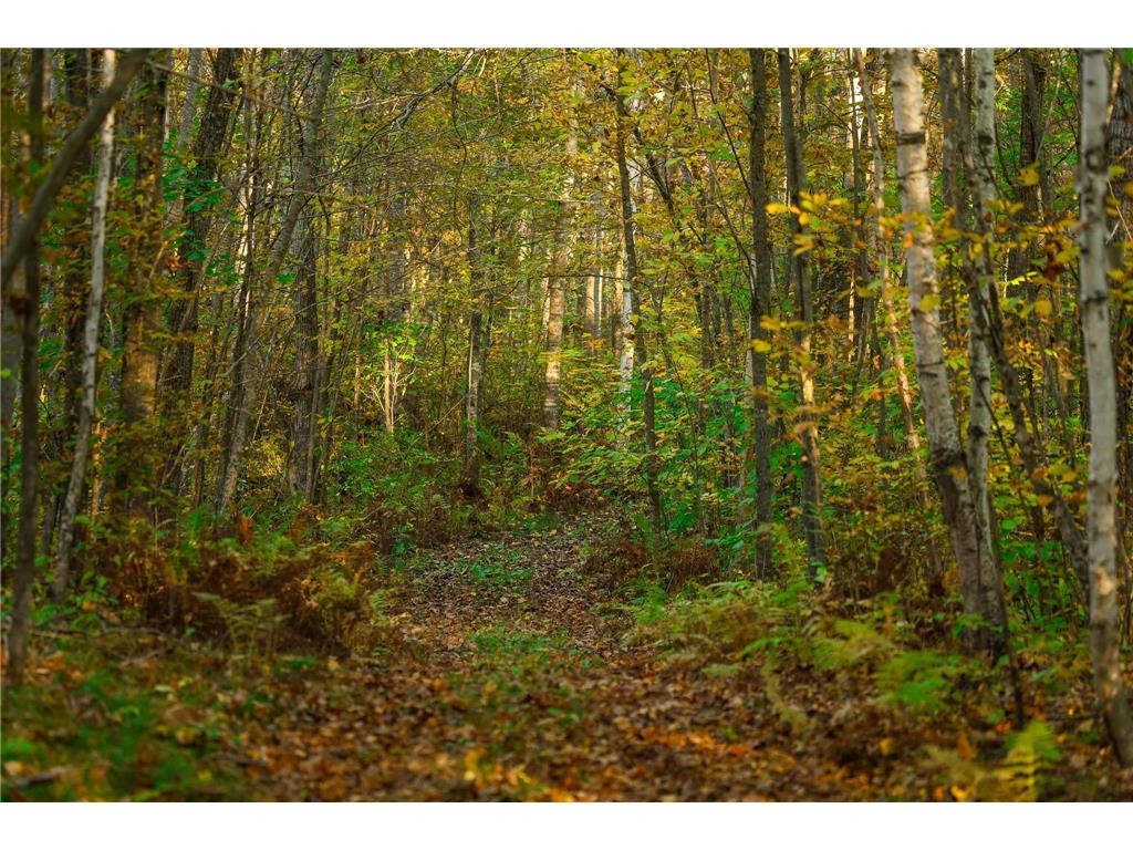 3108 Blackbird Road NE Cass Lake MN 56633 6798500 image31