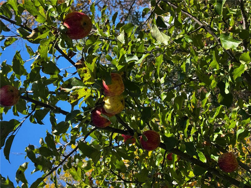 3108 Blackbird Road NE Cass Lake MN 56633 6798500 image35