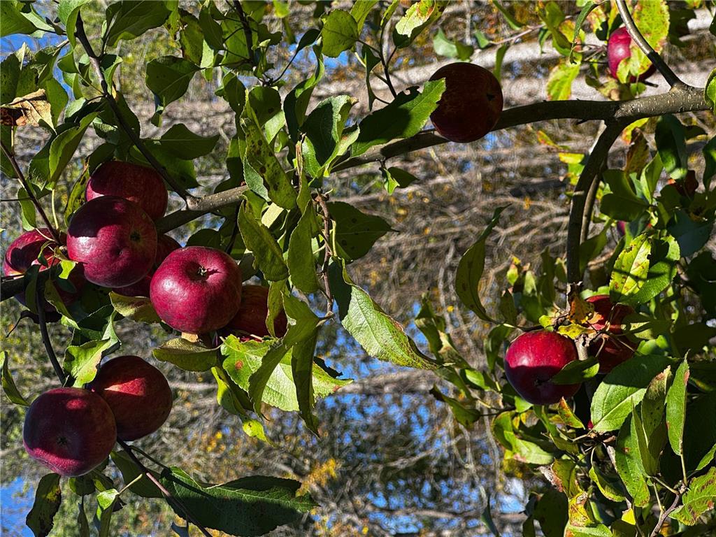 3108 Blackbird Road NE Cass Lake MN 56633 6798500 image36