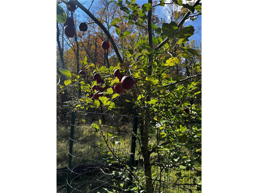 3108 Blackbird Road NE Cass Lake MN 56633 6798500 image37