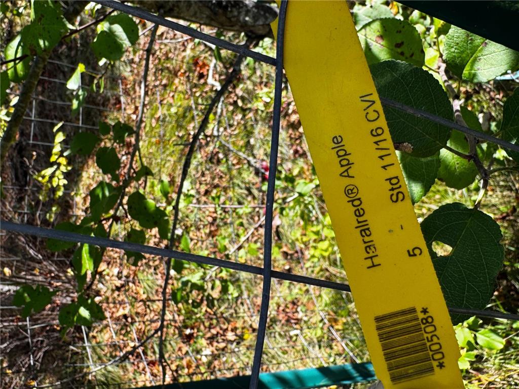 3108 Blackbird Road NE Cass Lake MN 56633 6798500 image38