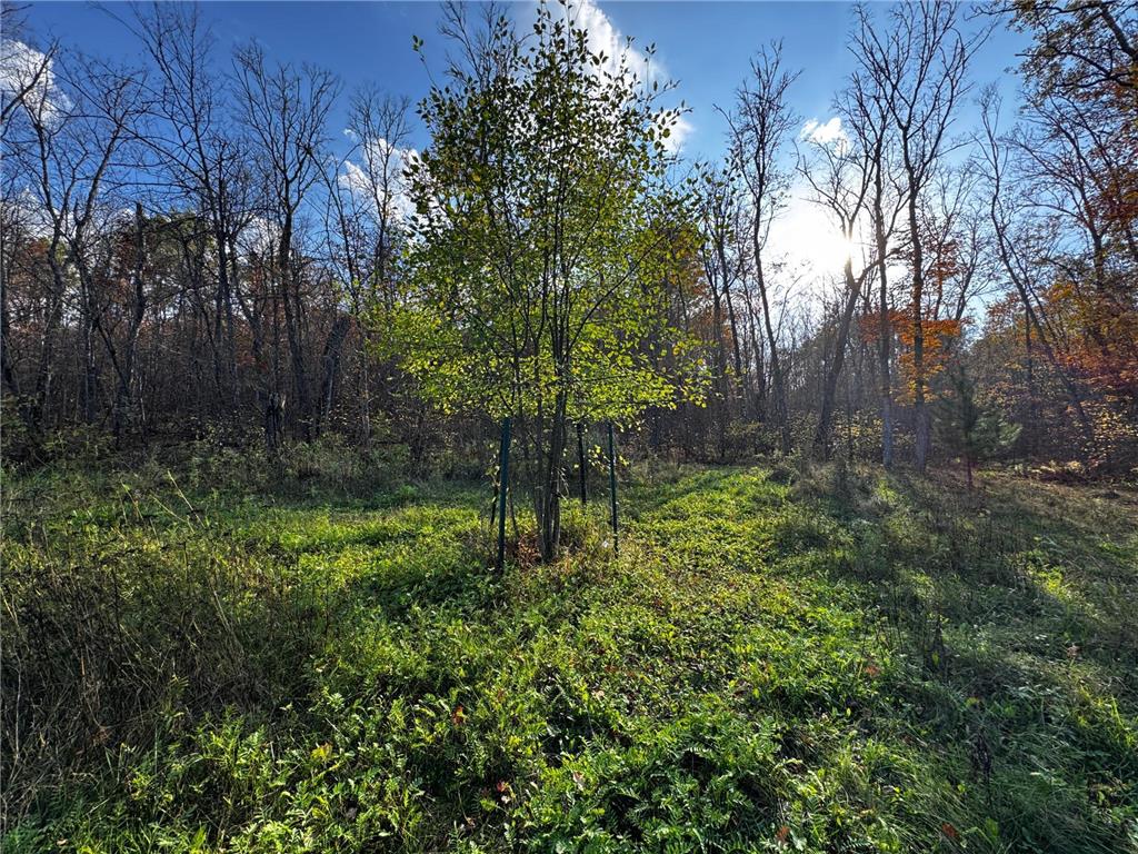 3108 Blackbird Road NE Cass Lake MN 56633 6798500 image44