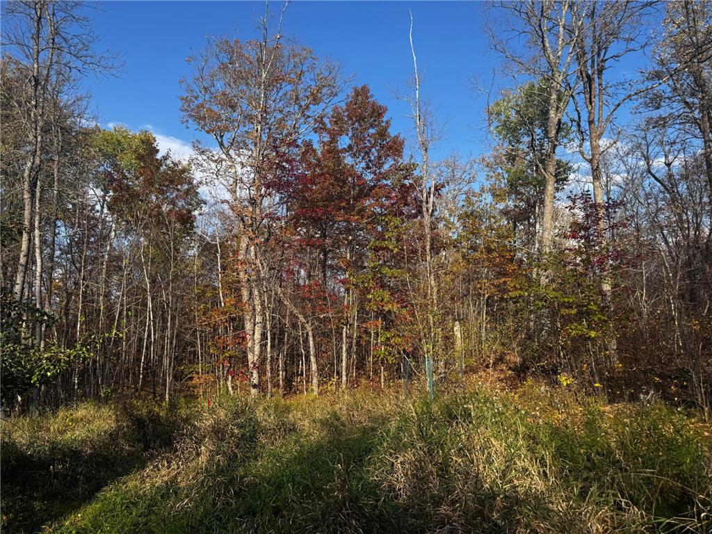 3108 Blackbird Road NE Cass Lake MN 56633 6798500 image46