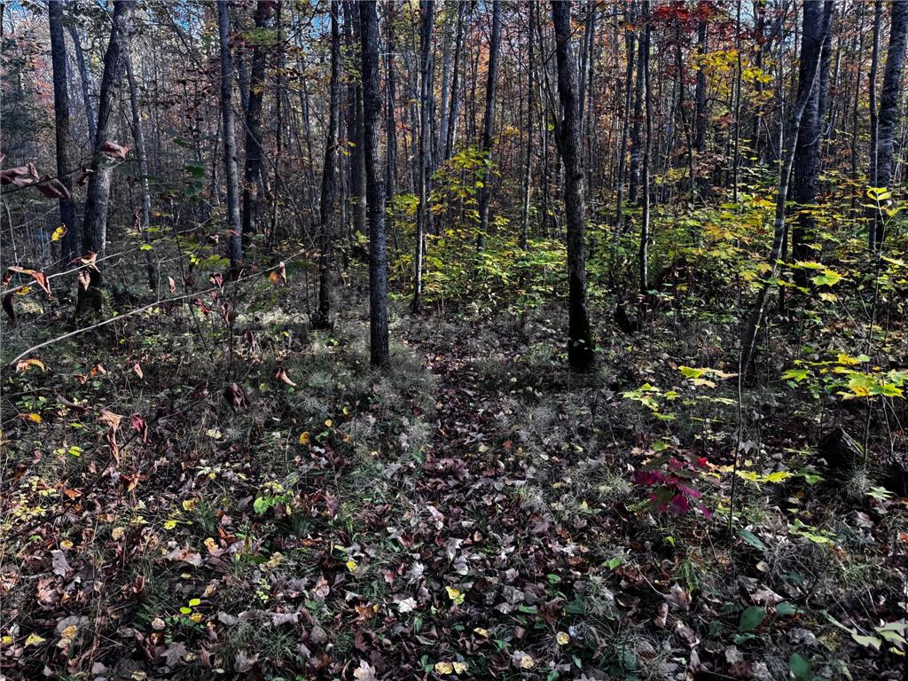 3108 Blackbird Road NE Cass Lake MN 56633 6798500 image63