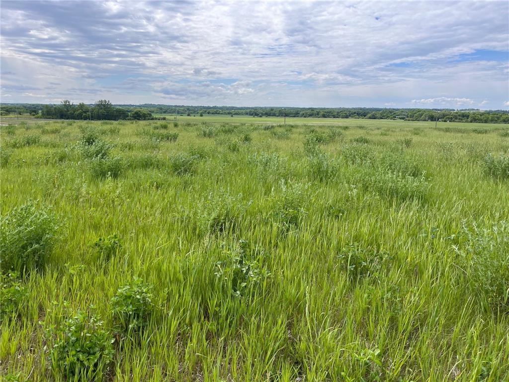 31099 El Mar Circle Paynesville Twp MN 56362 6728550 image1