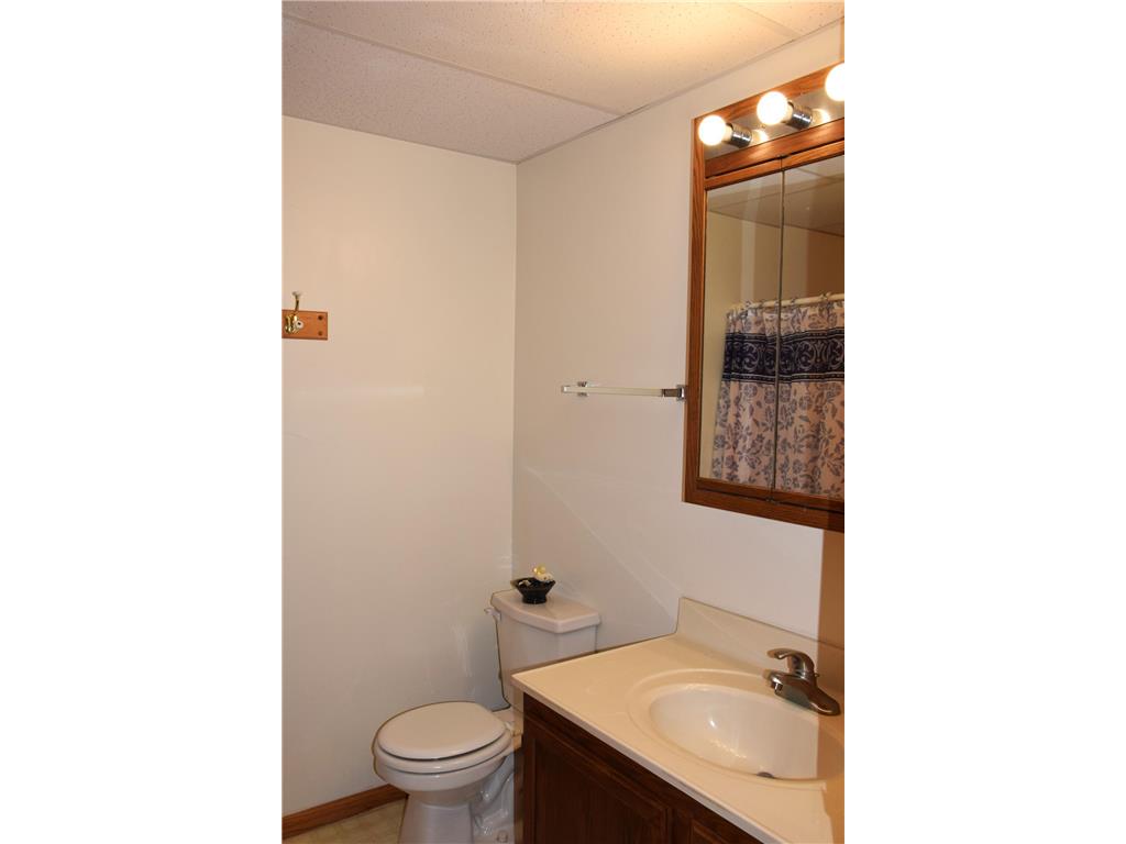 311 26th Street NW Bemidji MN 56601 7057115 image20