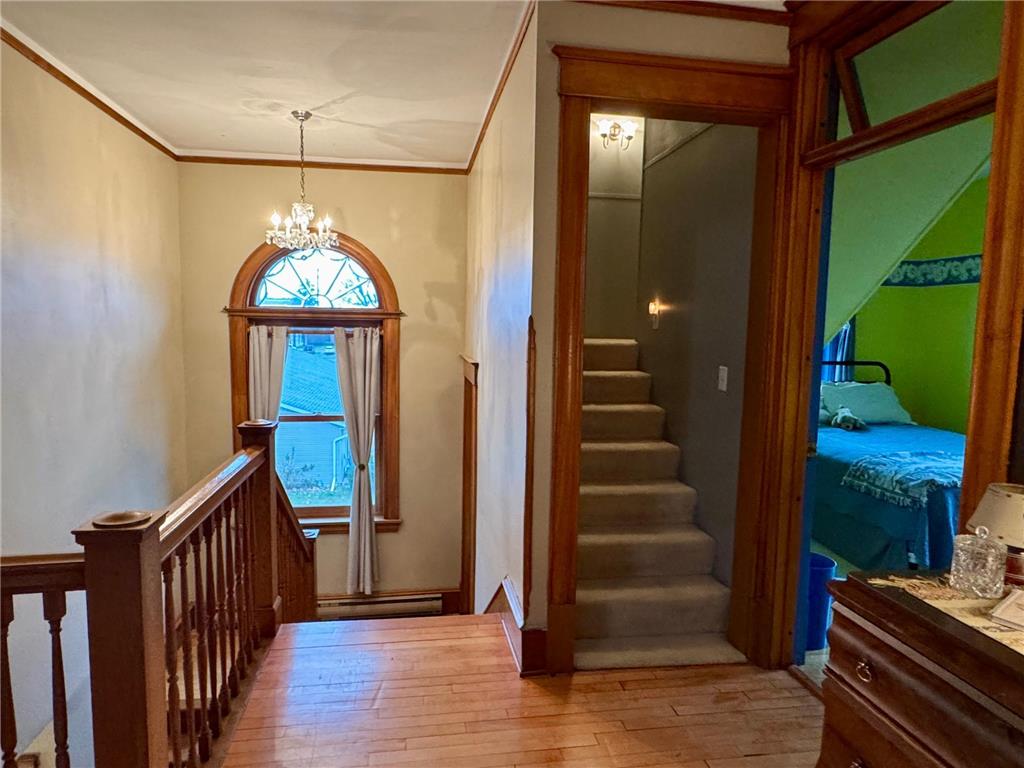 311 9th Street S Olivia MN 56277 7005322 image25