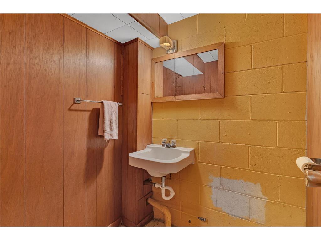 311 E Oak Avenue Olivia MN 56277 7052588 image24