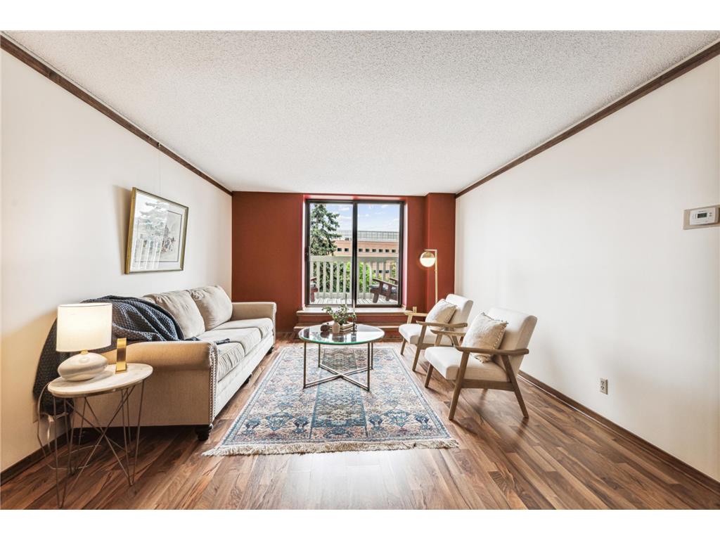 311 Pleasant Avenue #205 Saint Paul MN 55102 6563468 image1