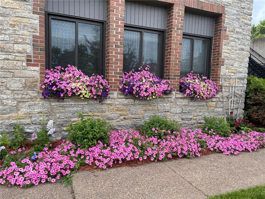 311 Pleasant Avenue #215 Saint Paul MN 55102 7036291 image35