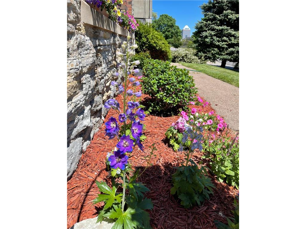311 Pleasant Avenue #215 Saint Paul MN 55102 7036291 image36