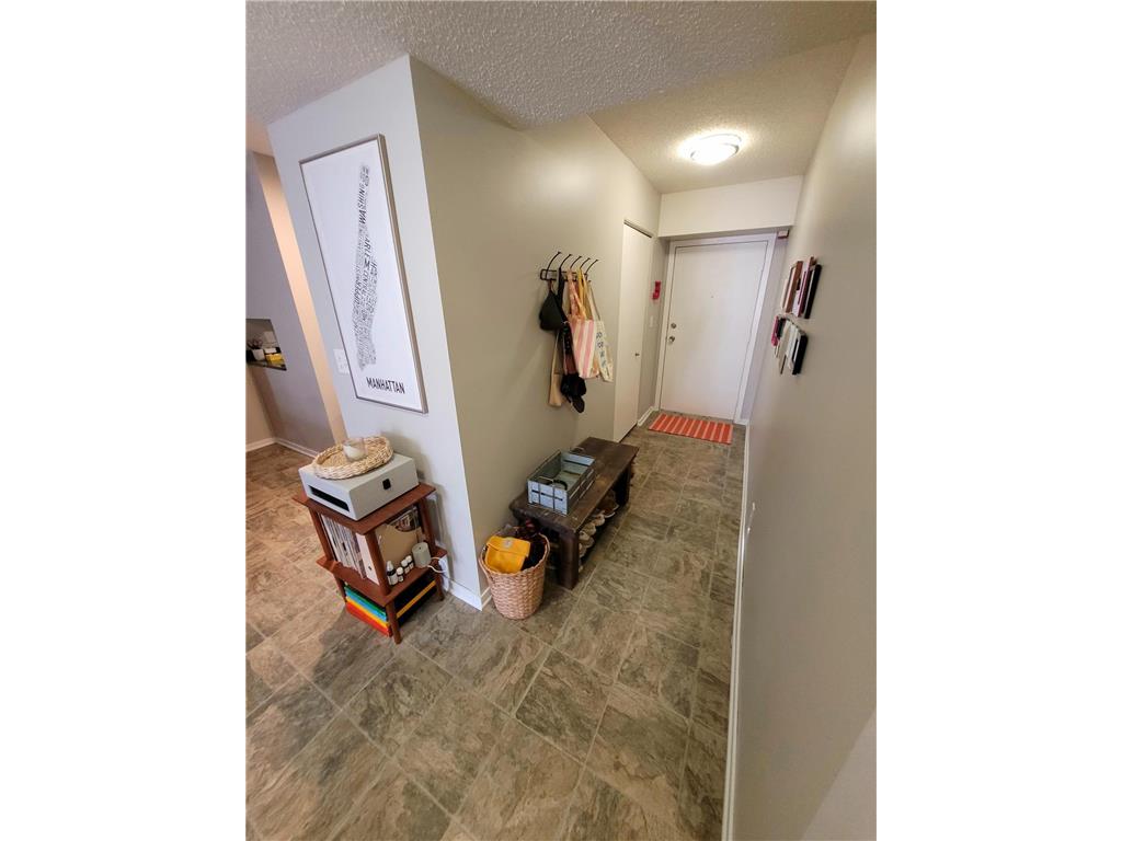 311 Pleasant Avenue #404 Saint Paul MN 55102 7029360 image30