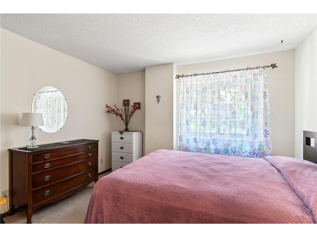 311 Pleasant Avenue #409 Saint Paul MN 55102 7084007 image11