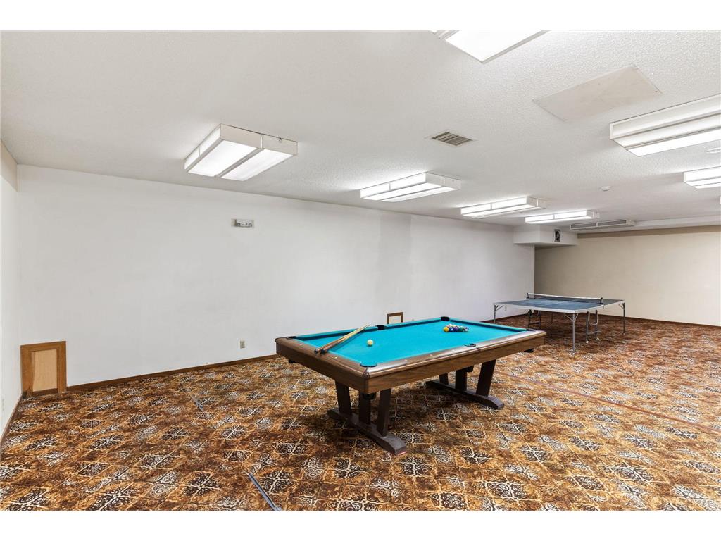 311 Pleasant Avenue #409 Saint Paul MN 55102 7084007 image23