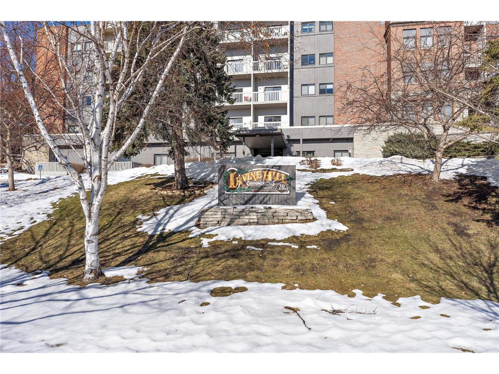 311 Pleasant Avenue #502 Saint Paul MN 55102 6332879 image1