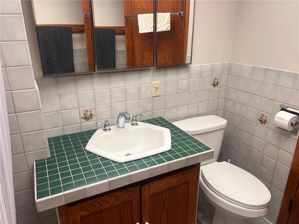 311 S Tyler Street Tyler MN 56178 7088451 image21