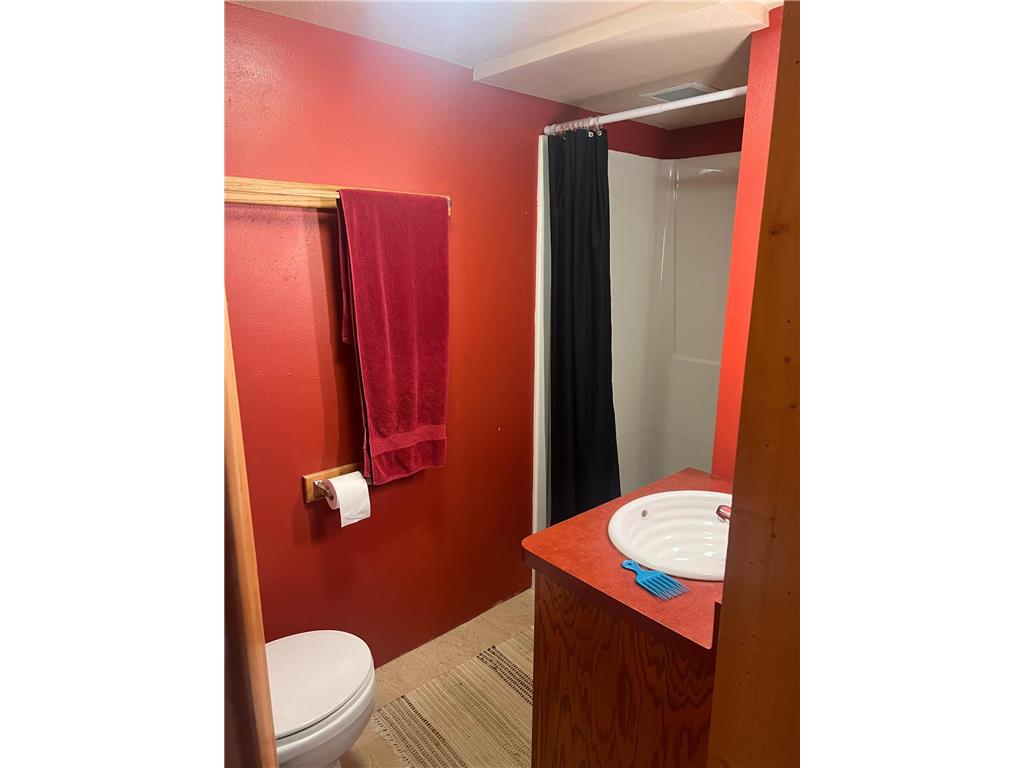 311 S Tyler Street Tyler MN 56178 7088451 image25